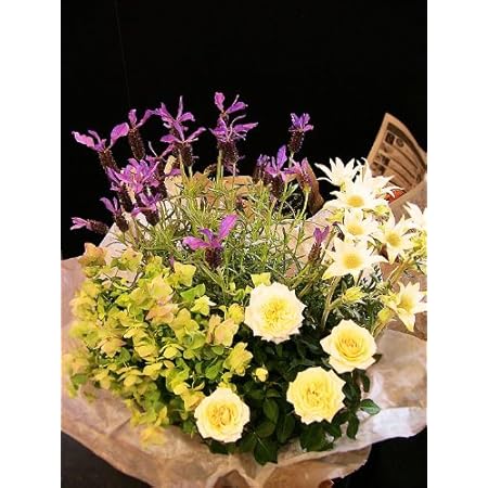 Amazon パリスタイルの花屋 春におすすめ ハーブと季節の鉢花ギフト 誕生日 結婚祝い 結婚記念日 プレゼント ご自宅に 各種お祝い 記念日に 観葉植物 オンライン通販