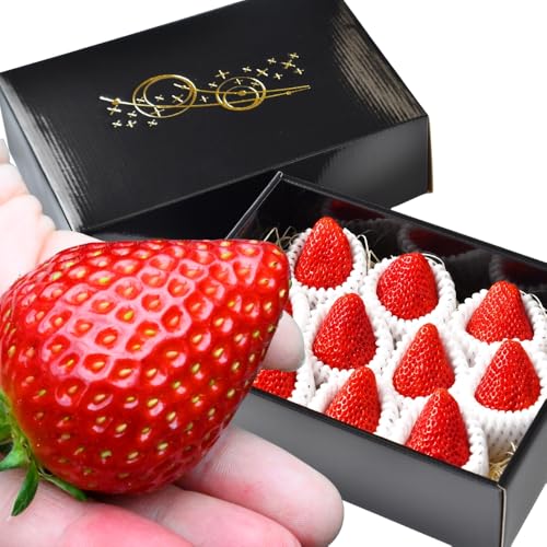 [1月〜4月お届け]超大粒イチゴ 約500g ギフト グランデ グランデサイズ 贈答 いちご 苺 イチゴ 予約 先行予約 旬