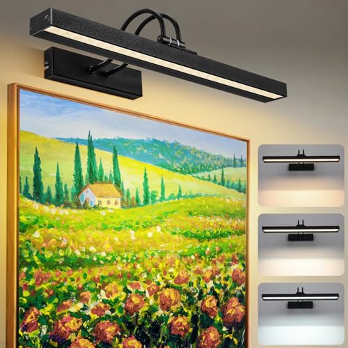 Lampop Wireless Picture Lights for Wall 5000 mAh Battery Picture Light with Remote, Dimmable & 3 Color Temperature & 4 Timer, Rechargeable Wall Lights for Art Display Frames, Black