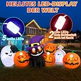 Zoom IMG-1 danxilu 8 piedi di lunghezza