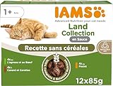 IAMS