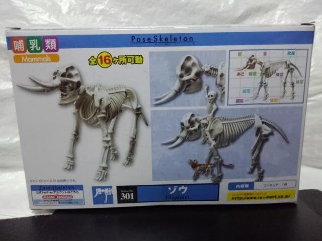 Amazon.co.jp: ポーズスケルトン ゾウ 骨格 可動フィギュア 哺乳類