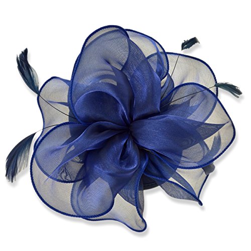 Dreshow Fascinators Hat Tea Party Headwear Ribbons Feathers On A Headband And A Clip For Girls And Women #TOP3