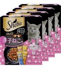 Amazon.co.jp: シーバ デュオ 12か月までの子ねこ用 香りのまぐろ味