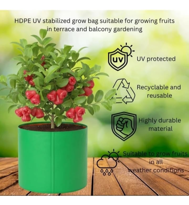 Image of ORIGINAL BULL Grow Bags, Green, 12x12 Inches, Breathable Fabric, for Vegetables, Flowers and Herbs, Pack of 10