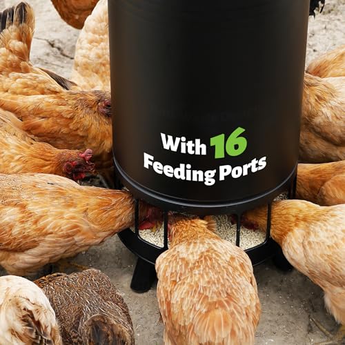 Solution4Patio 65 LB Large Free Standing Chicken Feeding Barrel, Portable Gravity Chicken Feeder Automatic, Dispenser, 16 Feeding Ports Poultry Feeder, Hen Coop (Black) by Solution4Patio Expert in Garden Creation - Image 3