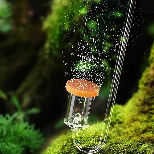 Diffuseur de CO2 aquarium 40-110 l contre le dépérissement