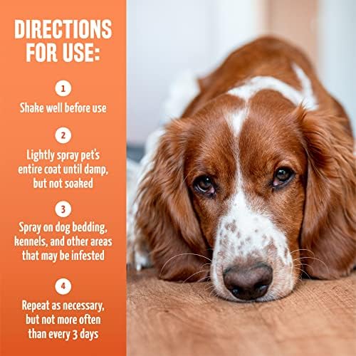 Will Dog Fleas Live In My Bed