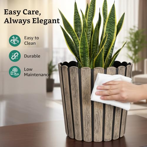 Image of Amazon Brand- Solimo Indoor and Outdoor Round 12 Inch Thai Flower Planter Pot Best for Terrace /Balcony /Home /Office Decor - Set of 2