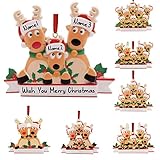 Personalized Deer Christmas Ornaments 2021 Family of 2,3,4,5,6,7,8 Custom Name Reindeer Xmas...
