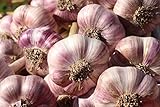 sicilia bedda