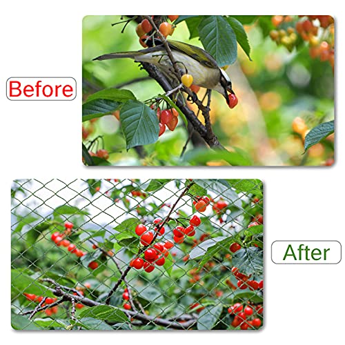 Anti Bird Netting For Garden Woven Mesh - Heavy Duty Protect Plants And Fruit Trees From Rodents Birds Deer Poultry Reusable And Doesn't Tangle (19.5 Ft X 40 Ft) #TOP4