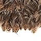 200 Stück Natürliche Federn Wilde Federn Dekoration DIY Basteln Federn Braun Federn Natürliche Hühnerfedern 5-10cm Kleine Fasanenfedern Weich Natürliche Fasanenfedern für Traumfänger Cosplay Deko (A)