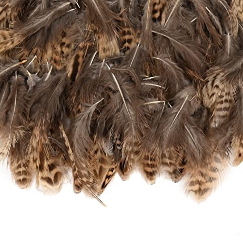 TSLBW 200 Piezas Plumas de Faisán Naturales DIY Plumas Naturales Manualidades Decoración de Plumas de Faisán 5-10cm Marrón Plumas de Pollo Naturales para Atrapasueños Boda Fiesta Decor Accesorios (A)