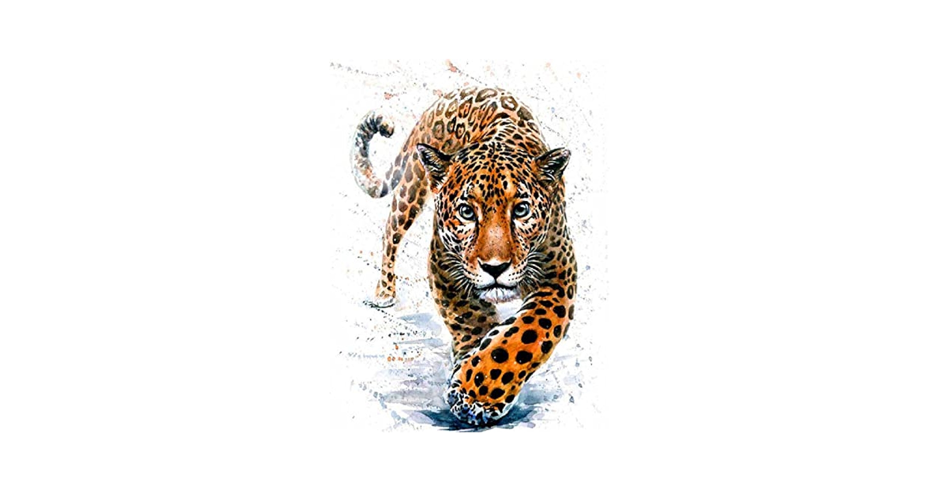 Amazon | 数字によるアクリル絵の具 数字によるヒョウの油絵