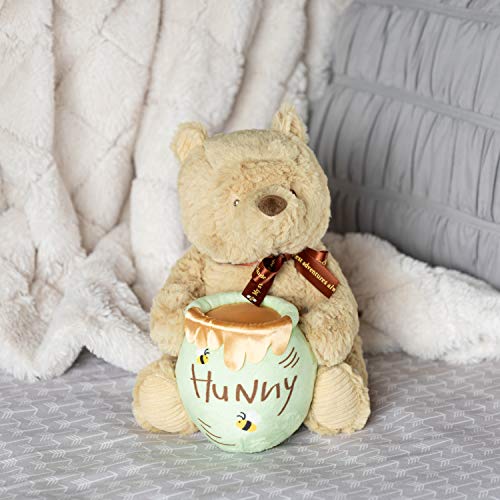 Kids Preferred 46109 Disney Baby Classic Pooh Waggy - Musical Plush Stuffed Animal thumb #5