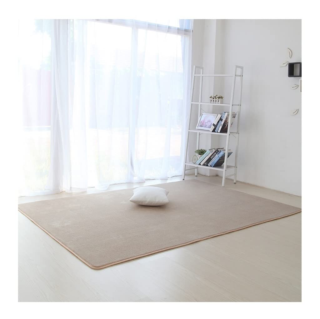 only xin Summer Rug, Bedside Carpets, Soft And Comfortable, Skin-friendly Children's Room, Short Plush Living Room Sofa, Floor Mat Carpet (Color : Khaki, Size : 160cmx100cm)