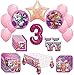 Girl Pups Paw Patrol Skye Everest 3rd Birthday Party Pack 52 Piece Set