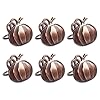 DII Christmas Thanksgiving Holiday Tabletop Decor Collection Decorative Napkin Ring Holder Set 2 Diameter Rustic Harvest Pumpkin 6 Piece
