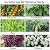 7ft Heavy Duty Garden Arch Trellis - Metal Cucumber Trellis for Raised Beds, Outdoor Steel Plant Support with Bolt Assembly & Stakes for Climbing Vegetables, Flowers