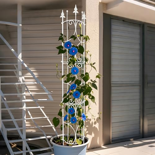 Thealyn Rankgitter Garten 2 Pack 182cm H x 31cm B Metall Pflanze Rankgitter, Weiß Indoor/Outdoor Metall Garten Rankgitter Pflanzengitter für Topfpflanzen Kletterpflanzen Blumen