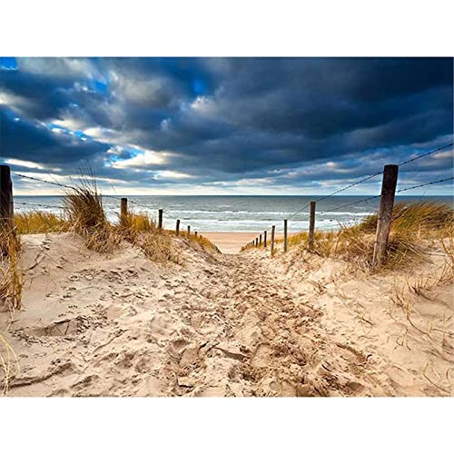 YSCOLOR Full Round Drill Scenery 5D DIY Diamond Embroidery Make Your Own Seaside Beach Diamond Painting Cross Stitch Rhinestone Mosaic 11.8X15.8 in/30X40cm