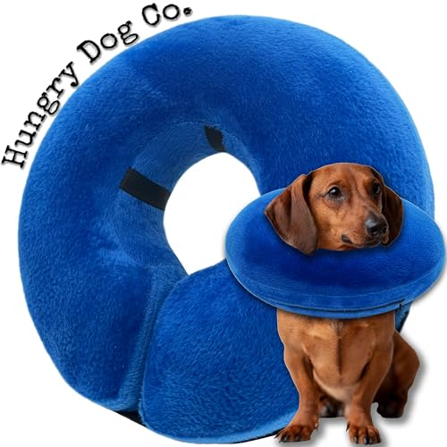 Image of Hungry Dog Co.- Premium Inflatable Dog Collar for Dogs and Cats - Helps in Pet Recovery - Comfortable and Safe for Your Pet - Soft E-Collar - Blue, Small (5 inch- 8 inch Neck)