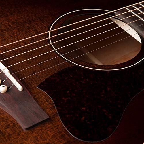 Amazon | Art & Lutherie Americana Bourbon Burst QIT エレアコ