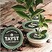 Tayst Coffee Pods, Variety Pack Assortment, K Cups Compatible with Keurig Coffee Maker, Sustainable Single Serve, Pack of 100