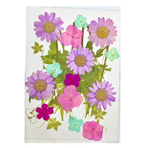 ドライフラワー ミックス 農業資材 ガーデニング用品の人気商品 通販 価格比較 価格 Com