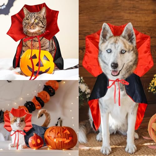 Disfraz Vampiro para Perros Talla Large Halloween miniatura 7