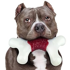 Chew Toys for Large Dogs