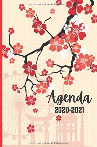 Télécharger Agenda 2020-2021 Thème Coréen: 16 mois journalier 2020-2021 Septembre 2020 à décembre 2021 - pla Livre eBook France