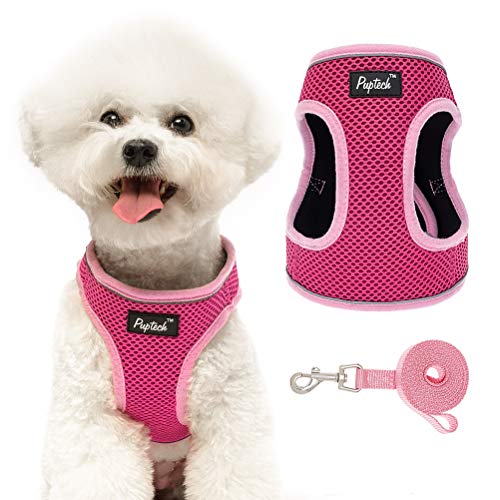 PUPTECK Soft Dog Harness and Leash - Padded Breathable Mesh Pet No Pull Harness, Reflective Comfort Puppy Vest Harness for Small Medium Dogs Outdoor Running and Training