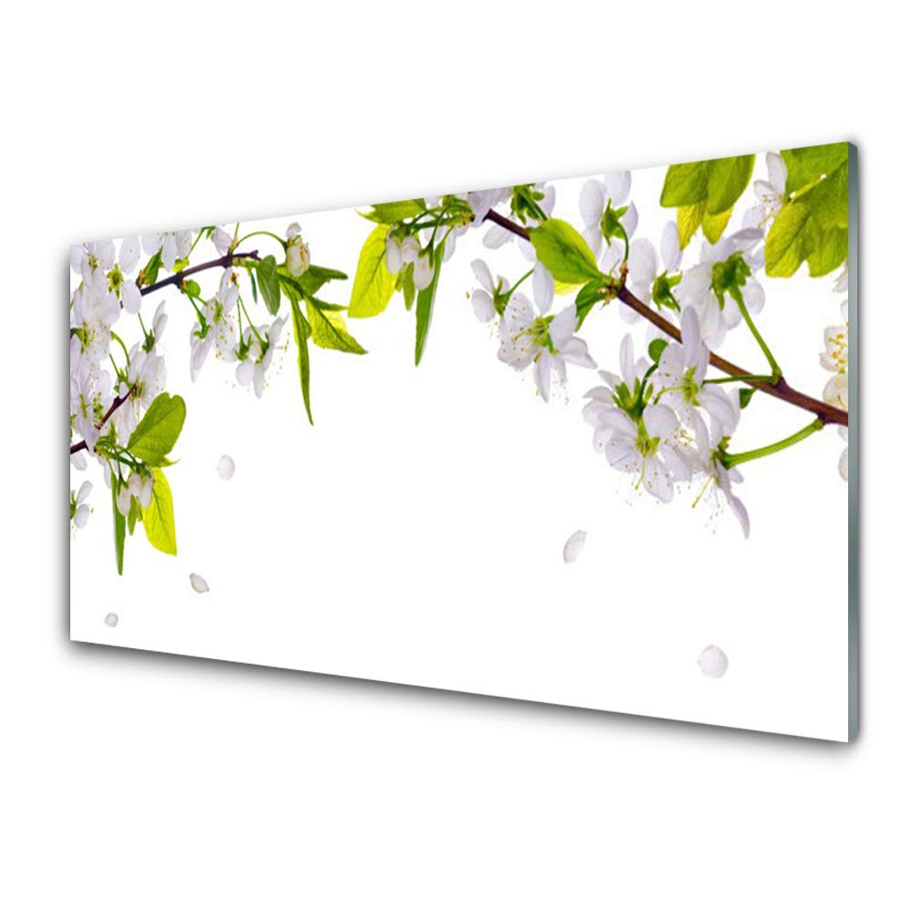 Impression sur Verre Trempé Tableau Déco Mural Nature Pétales 100x50cm Tulup Design