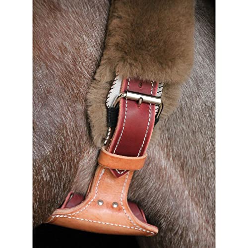 Funda de lana merina para collar DARE Cribbing miniatura 6