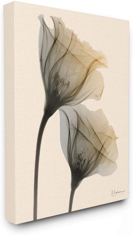 Stupell Industries Neutral Light Flower Photograph, Design by Albert Koetsier Wall Art, 24x30, Canvas