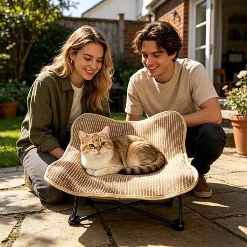 Silla raspador para gatos evita aranazos muebles cama relax 3