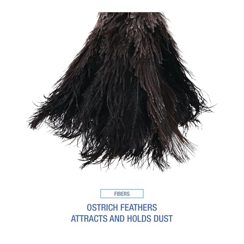 Image of Boardwalk 20BK Professional Ostrich Feather Duster, 10 inch Handle