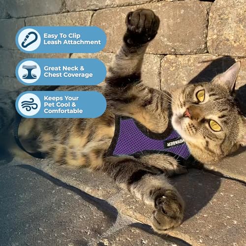 Image of Voyager Escape-Proof Step-in Lock Cat Harness & 5ft Neoprene-Handle Leash Set All-Weather Mesh with Reflective Stitching for Small to Large Cats by Best Pet Supplies, Purple /Black Trim, XXS