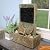 Sunnydaze 16-Inch Half Moon Slate Indoor Tabletop Cascading Water Fountain - Soothing and Tranquil Water Sound