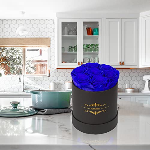 Natroses Preserved Real Roses In A Box Roses That Last Up To 3 Years, Long Lasting Roses Gifts For Her, Valentines Day Gifts For Her (Royal Blue) #TOP3