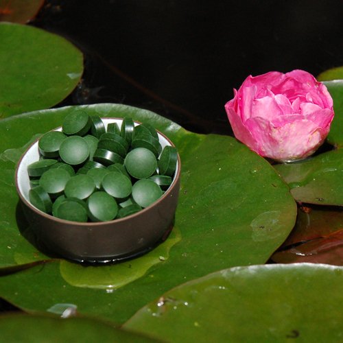 Chlorella pyrenoidosa Tabletten – Premiumqualität 1kg zu je 250mg