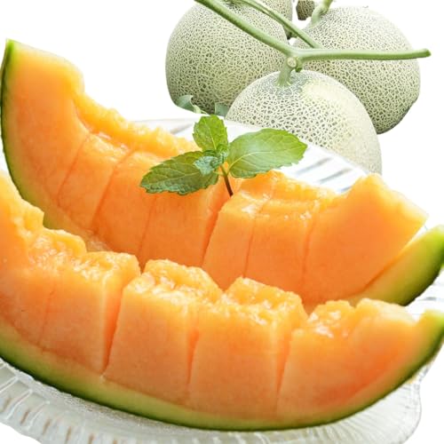 最高糖度21度! 奇跡のクインシーメロン(赤肉)3Lサイズ 1玉入り