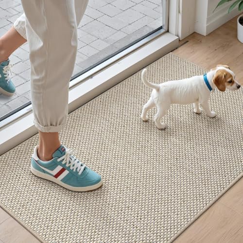 DEXI Schmutzfangmatte Innen 60 x 90 cm, rutschfest Fußmatte waschbar, absorbierend Fussmatte, Dünne Türmatte Eingangsteppich für Haustür & Flur, Beige