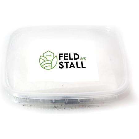 FeldundStall 100-150 Siebenpunkt-Marienkäfer Eier/Larven - Natürliche Schädlingsbekämpfung der Blattläuse für Garten, Kleingewächshäuser, Wintergarten, Büro - Coccinella septempunctata