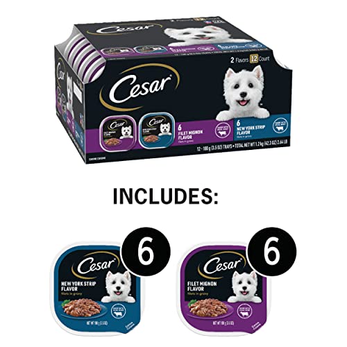 CESAR Adult Soft Wet Dog Food Filets in Gravy Variety Pack, Filet Mignon and New York Strip Flavors, 3.5 oz. - 12 Trays (1-Pack) CESAR Adult Soft Wet Dog Food Filets in Gravy Variety Pack, Filet Mignon and New York Strip Flavors, 3.5 oz. - 12 Trays (1-Pack)