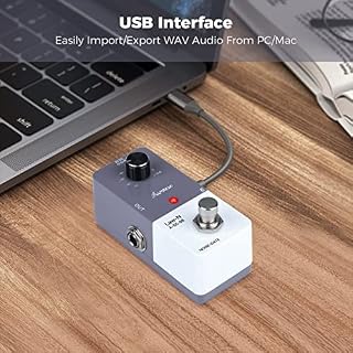 Asmuse Pédale de portail de bruit, suppresseur de bruit pour guitare électrique et basse True Bypass - Les Beatles, Paul McCartney, John Lennon, RIngo Starr, George Harrison Asmuse Pédale de portail de bruit, suppresseur de bruit pour guitare électrique et basse True Bypass – Image 5