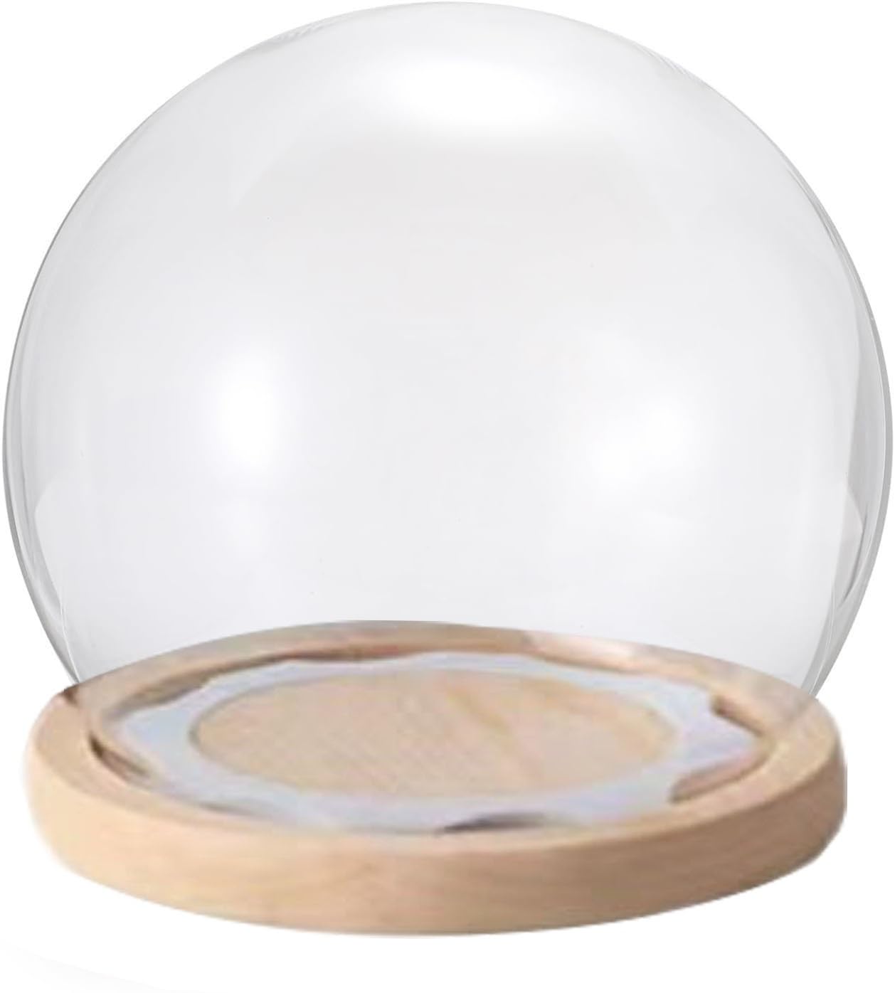 NLKJIOQA Glass Dome Cloche Bell Jar,1pcs Decorative Tabletop Display Ball With Wood Color Base For Plants Collectible Figure Candles Medals(20cm)