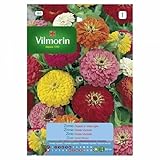 Vilmorin